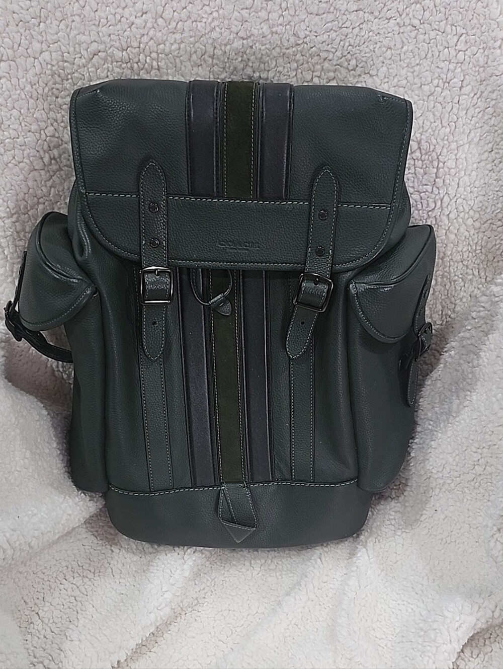 Coach Menโs Forest Green Leather Backpack with Stripe Detail
